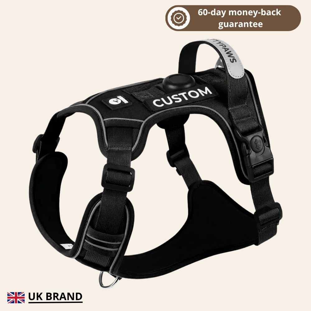 PLATTYPAWS NO-PULL HARNESS