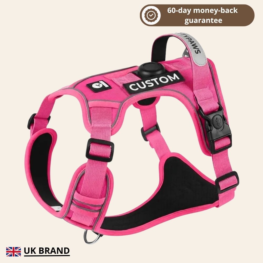 PLATTYPAWS NO-PULL HARNESS