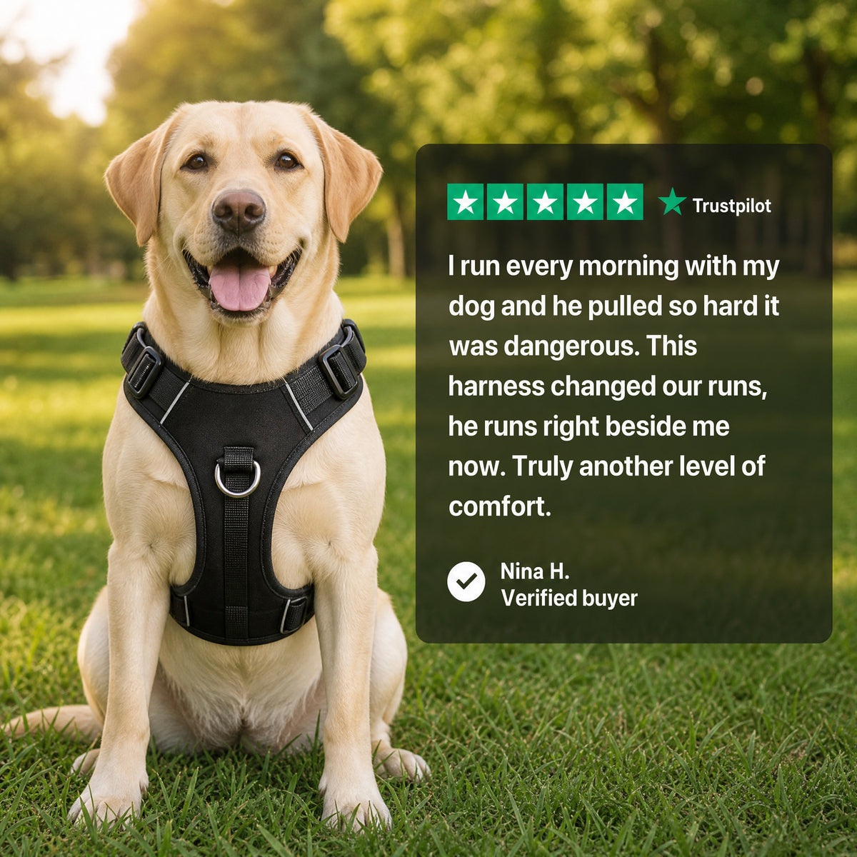 PLATTYPAWS NO-PULL HARNESS