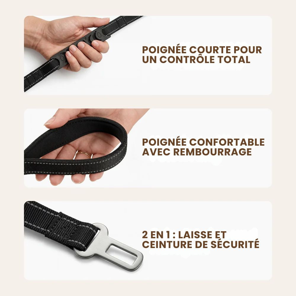 1.4-meter retractable dog leash
