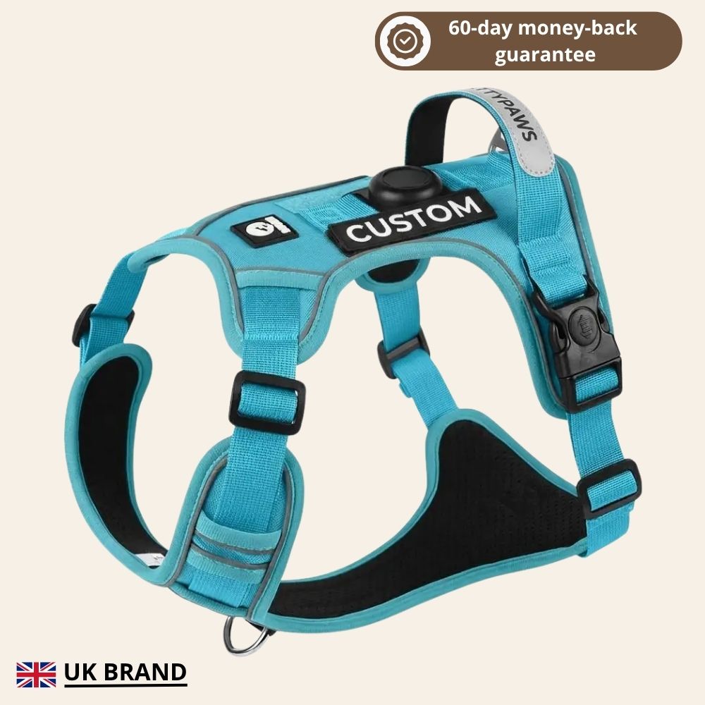 PLATTYPAWS NO-PULL HARNESS