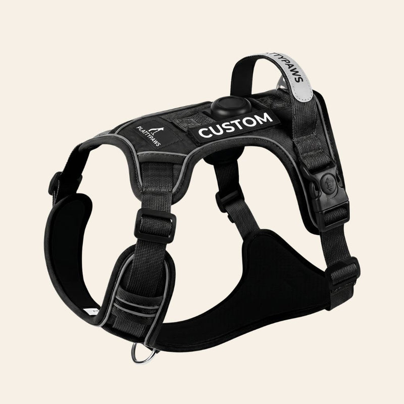 NO-PULL HARNESS