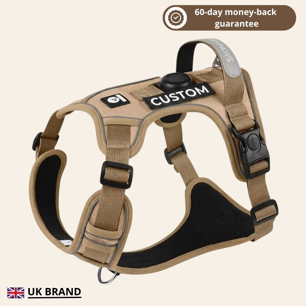 PLATTYPAWS NO-PULL HARNESS