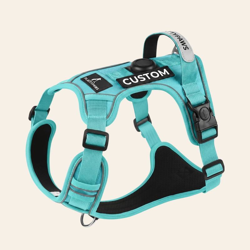 NO-PULL HARNESS
