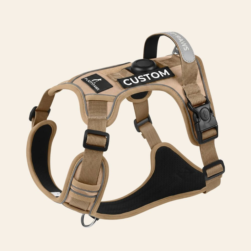 NO-PULL HARNESS