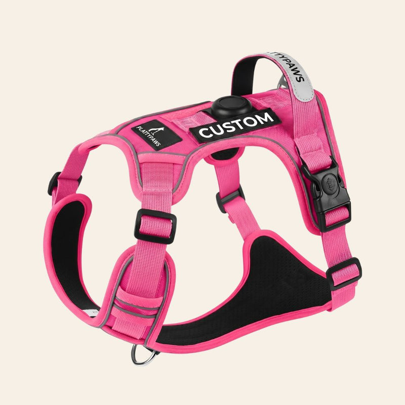 NO-PULL HARNESS