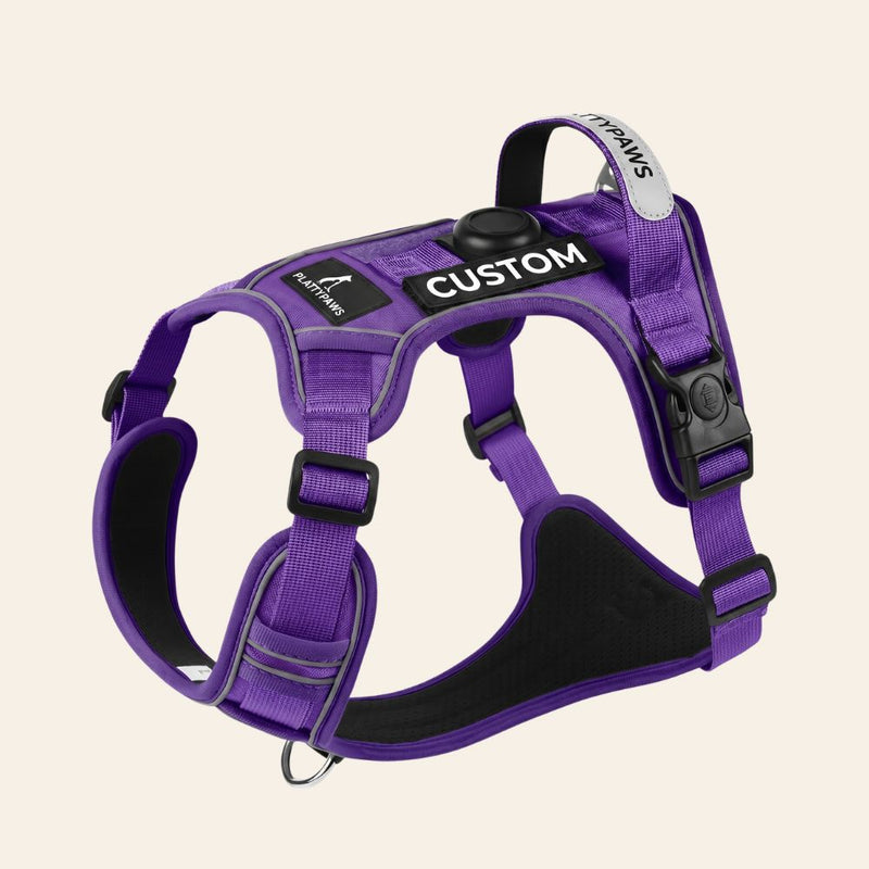 NO-PULL HARNESS