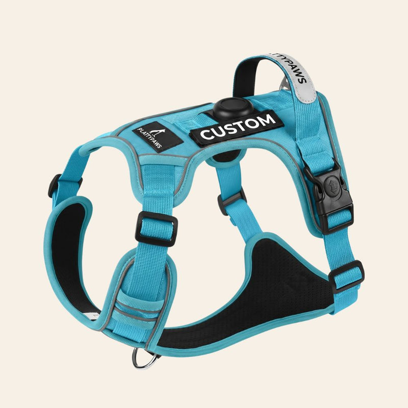 NO-PULL HARNESS