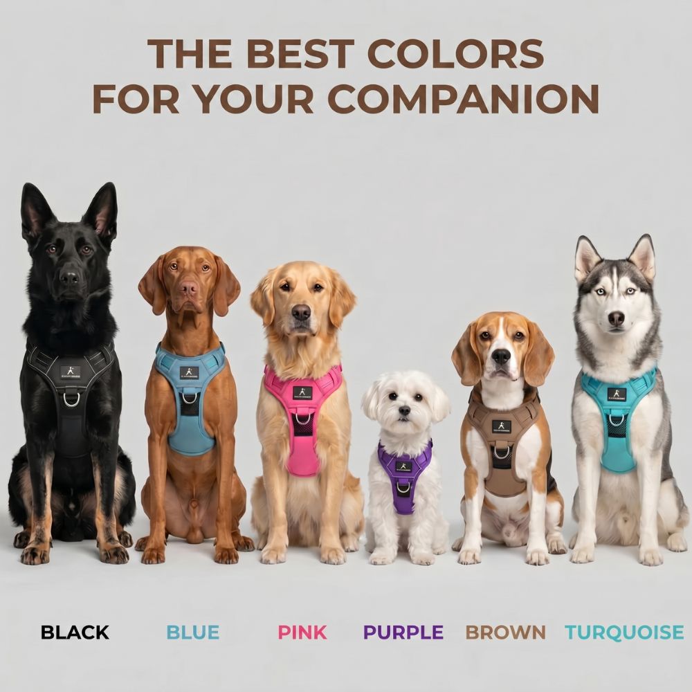 PLATTYPAWS ANTI-PULL HARNESS