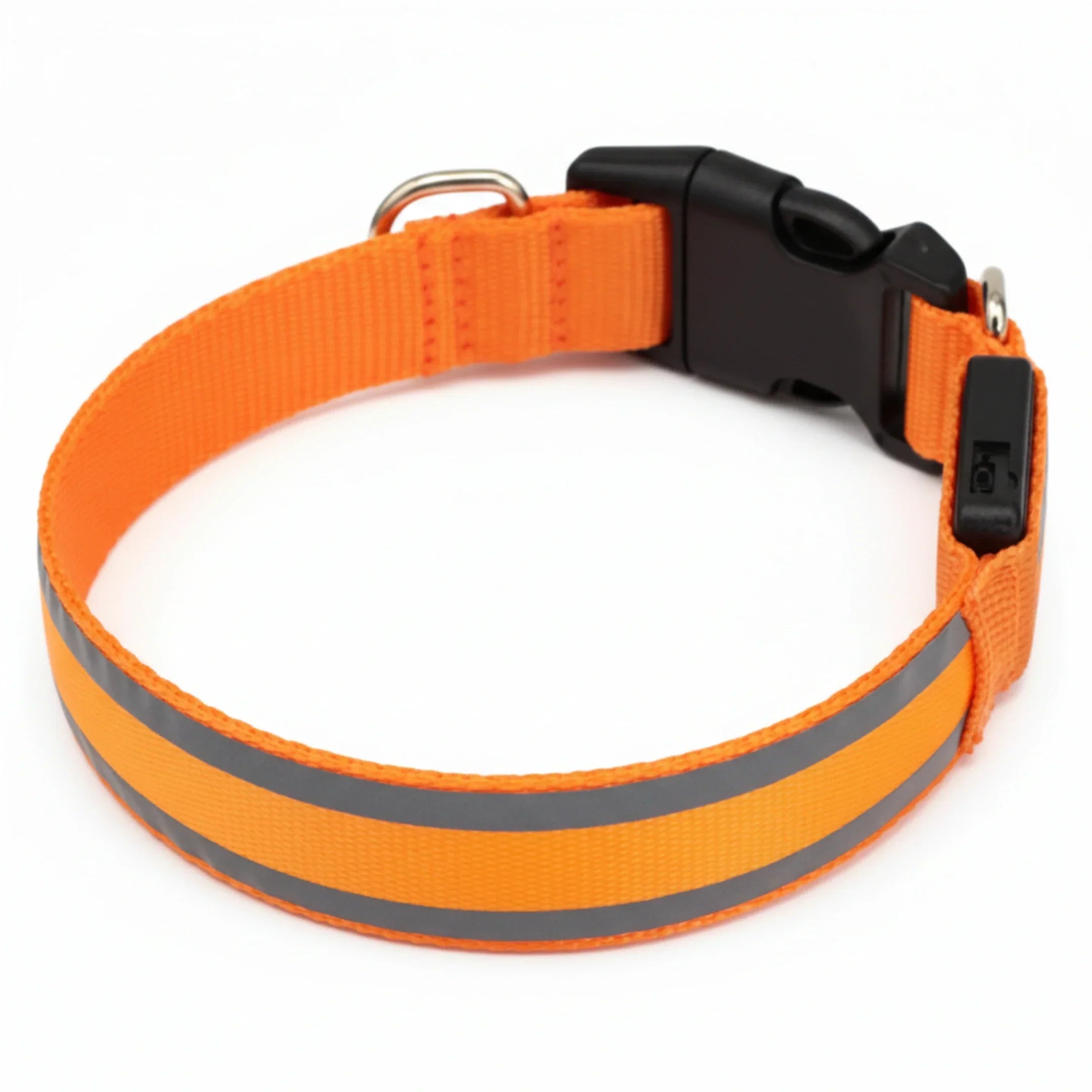 PlattyPaws LED Dog Collar